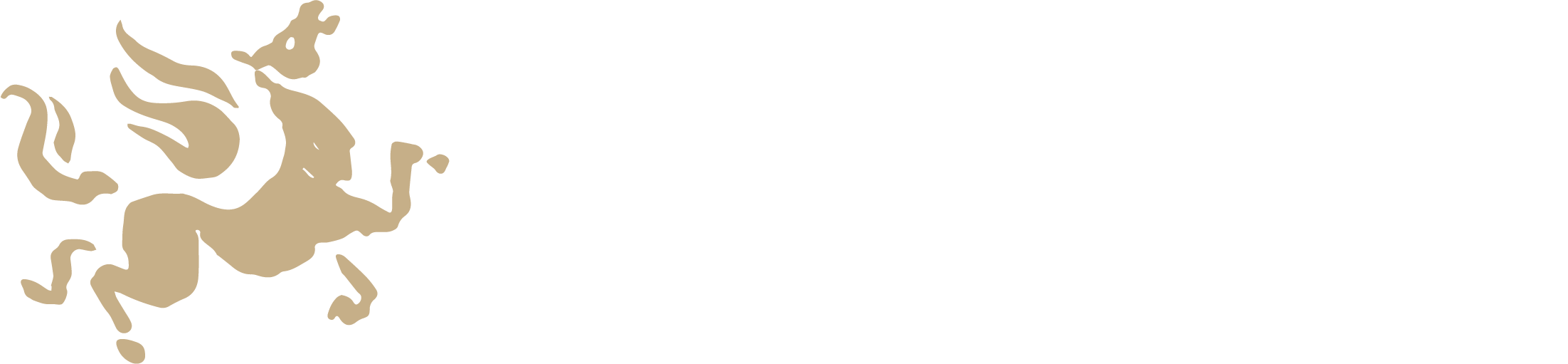 Windhorse Vineyard